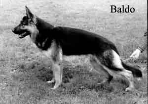 baldokl