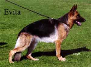 evitahi