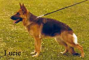 luciehi