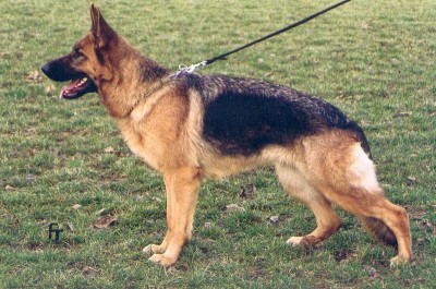 moiragr
