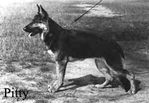 pittykl