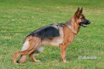 valentina_vom_wolkenstein